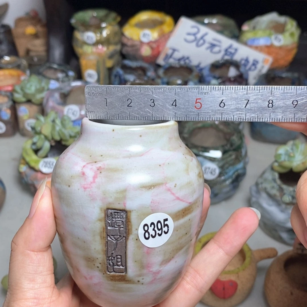 拍5送一个小礼物