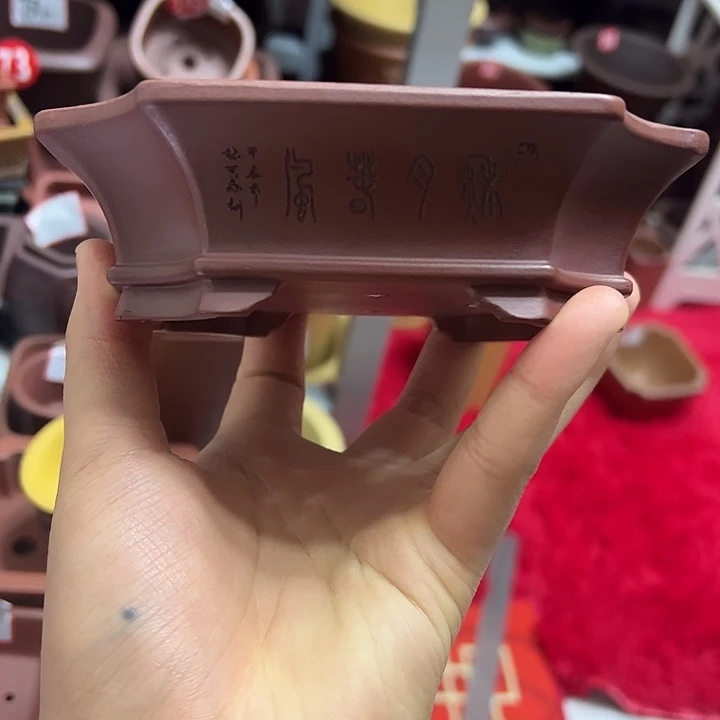 小***树花盆紫砂小花盆小圆pen