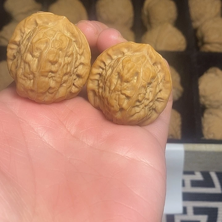 文玩核桃吊坠南瓜墩36