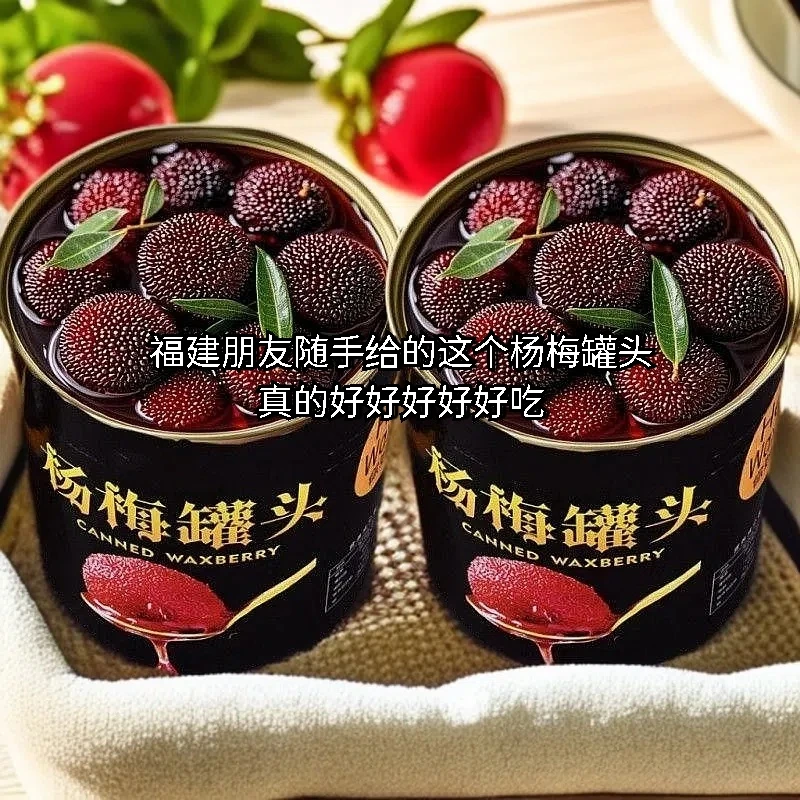 杨梅罐头水果新鲜饱满果肉夏季糖水甜品冰镇酸甜爽口即食品