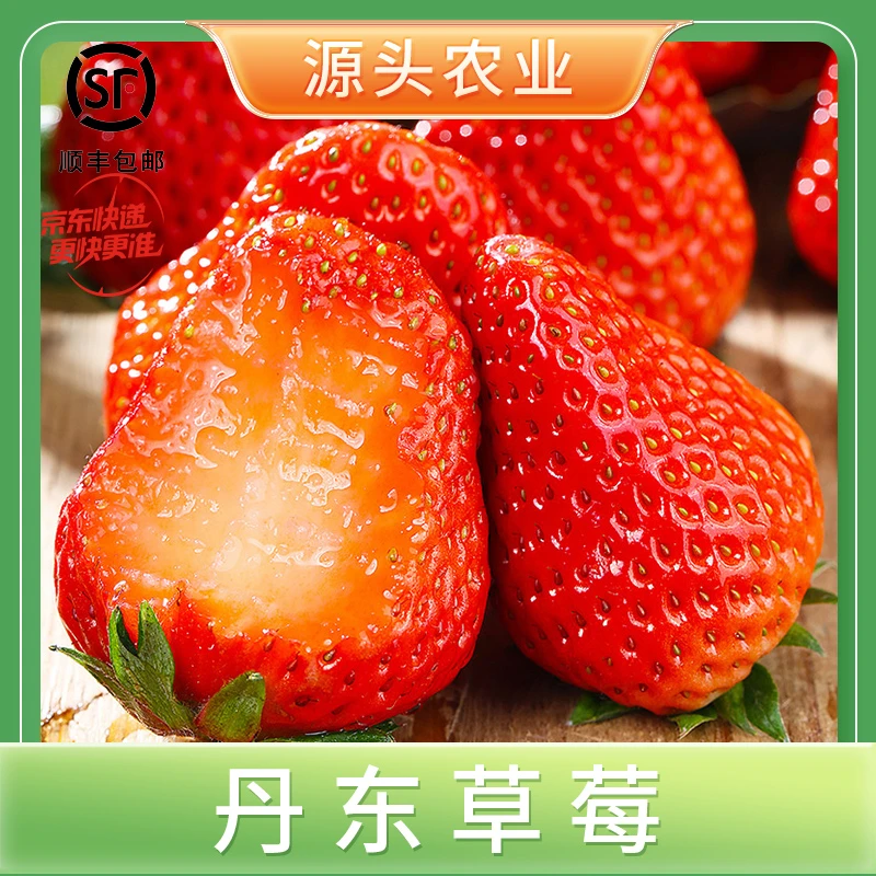 【丹东草莓】丹东草莓饱满红颜草莓当季顺丰/京东包邮1斤/2斤S