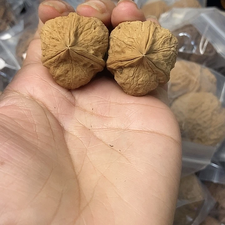 把件文玩核桃云南铁核桃基地16