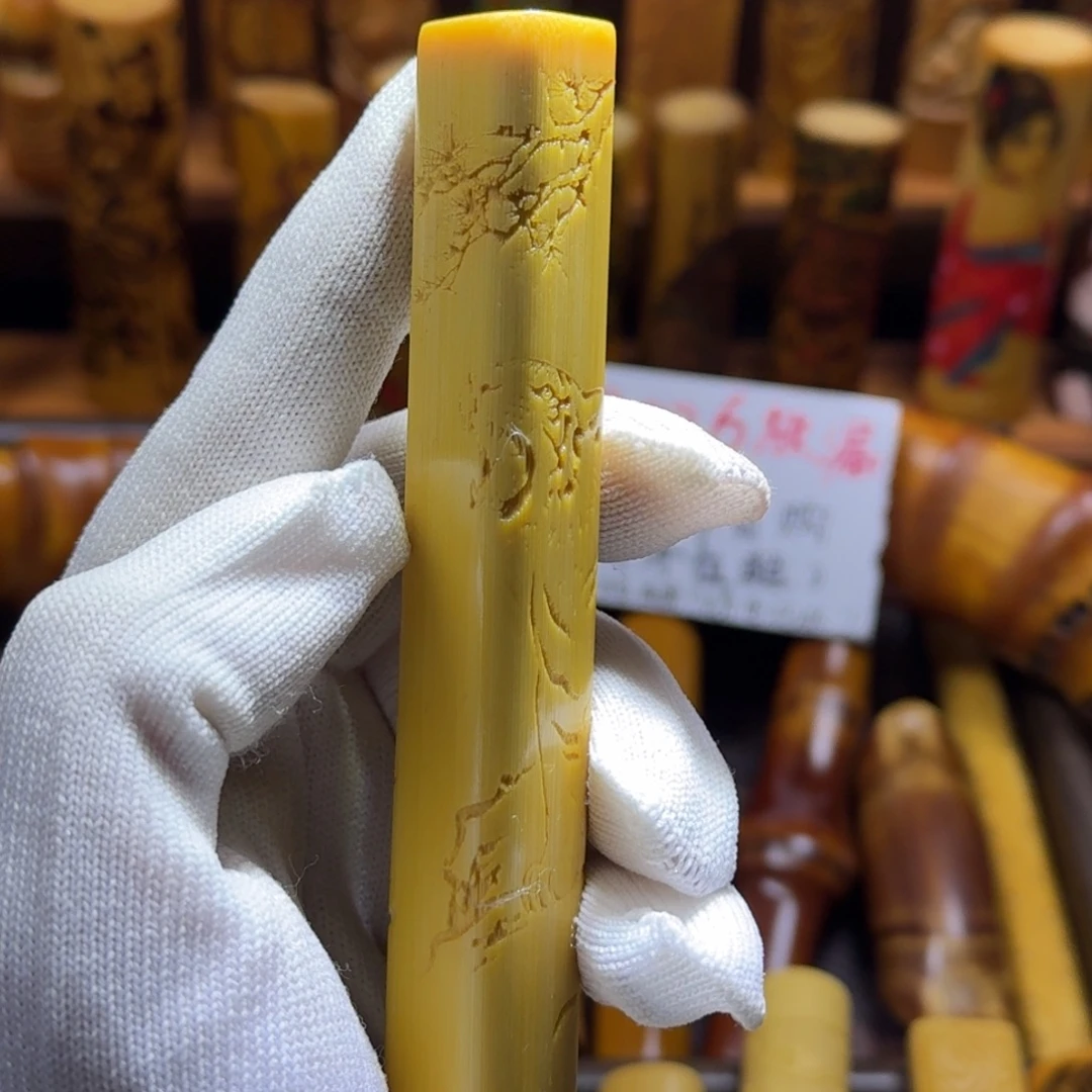 竹类精品实心玉竹