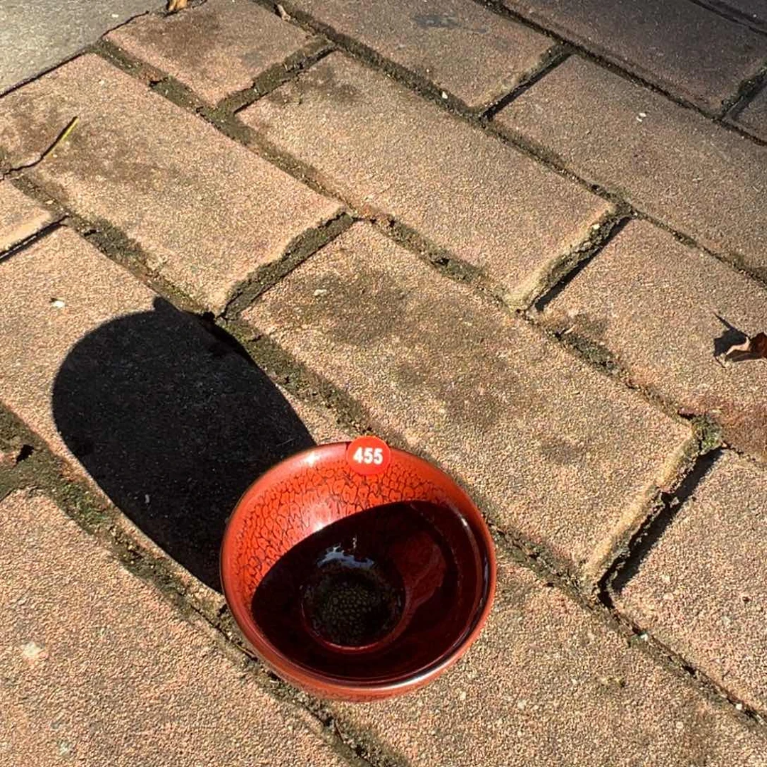 茶盏越*啊啊啊啊啊啊啊455