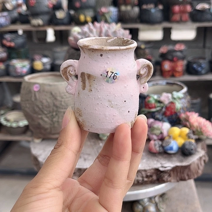 红陶哈哈真的好开心