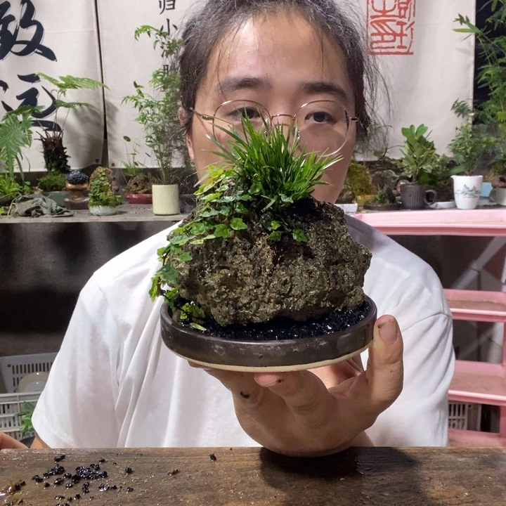 小***6无花朵退款拉黑拉黑202