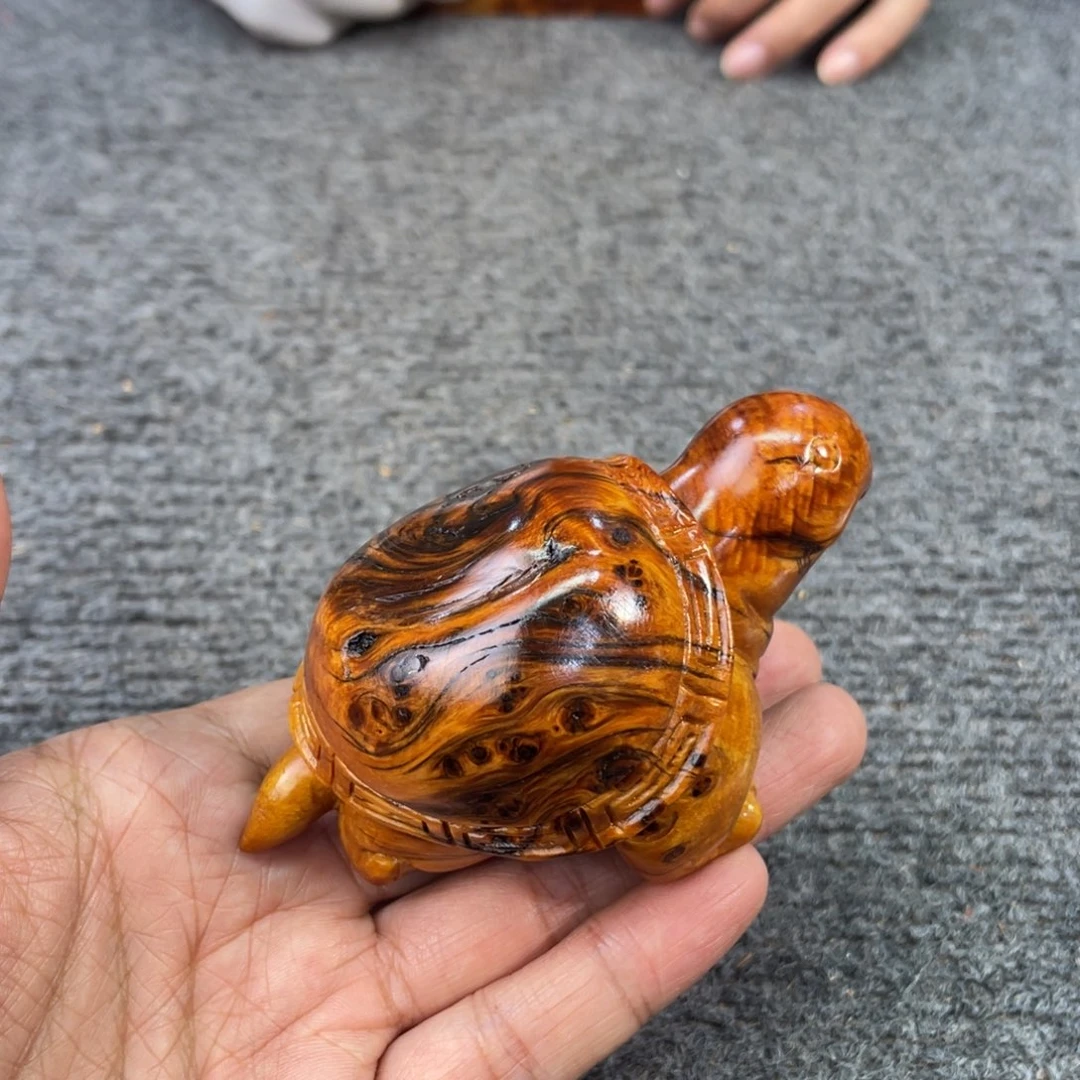 七***彩柏木（崖柏）太行崖柏88888888888