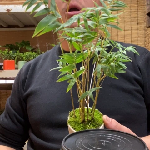 红陶暖*一物一拍所见即所得133