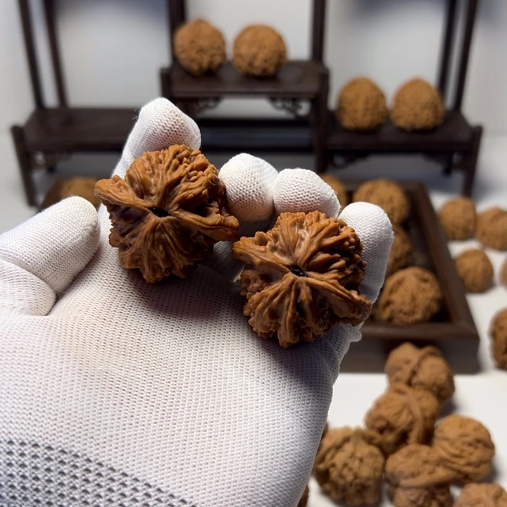 顶***地核桃全品虎头无药