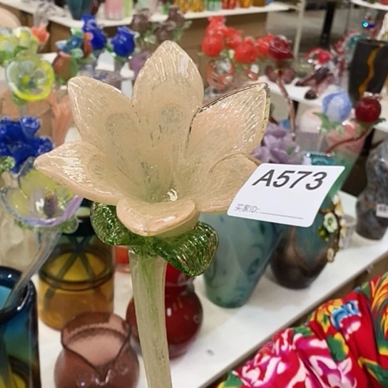 琉璃夜光花高45厘米