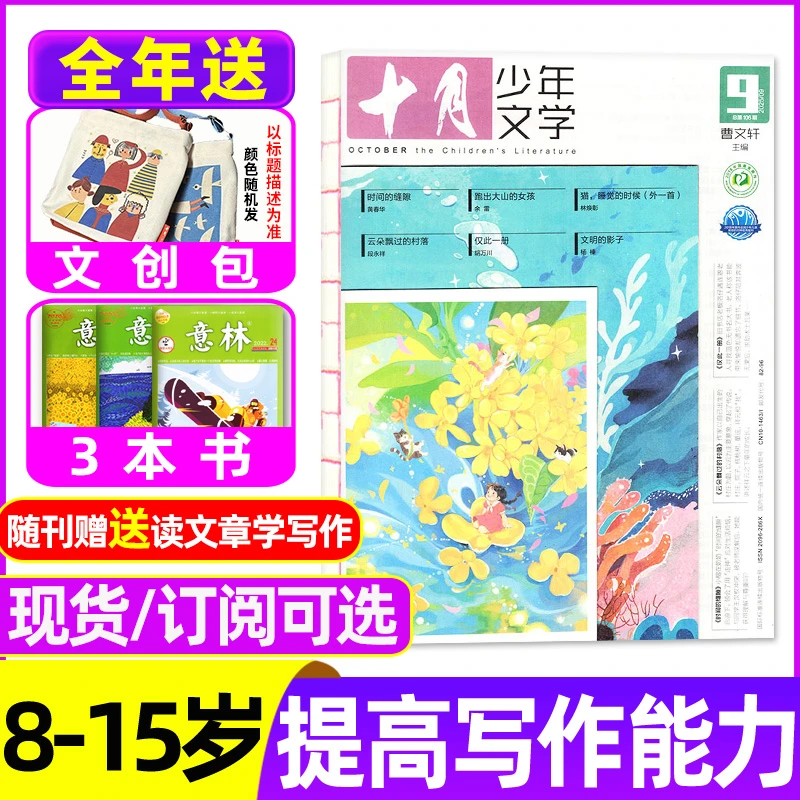 十月少年文学杂志2025全年订阅2026年8/15岁青少年写作提升素材书