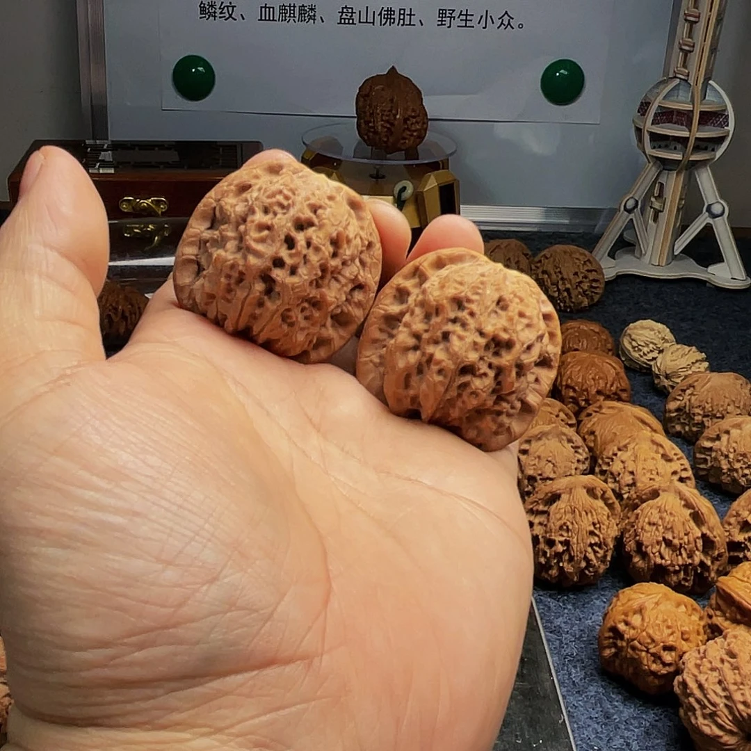 猴头核桃把件@****雪血麒麟41尺