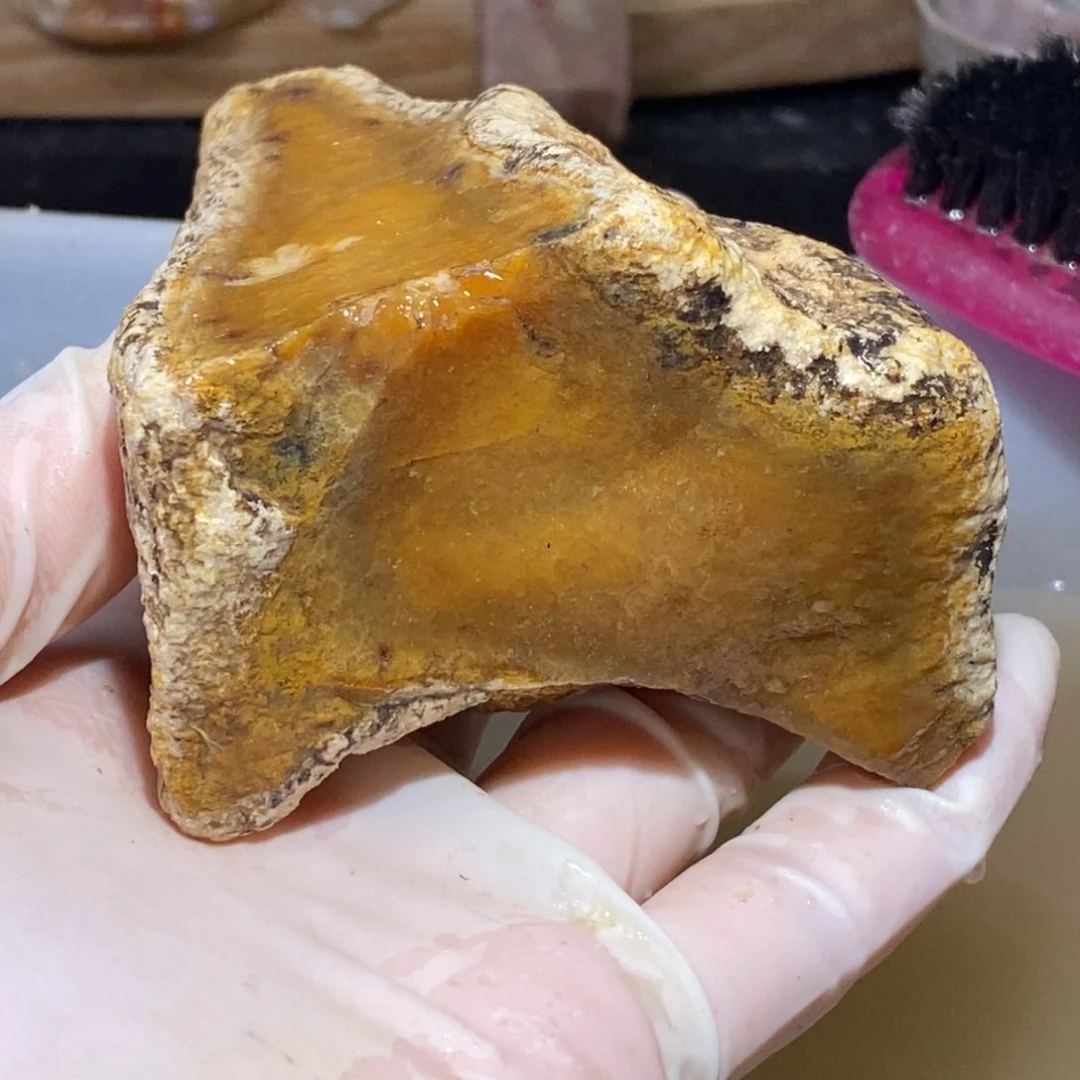 【闪购商品】硅化玉珊瑚玉未镶嵌