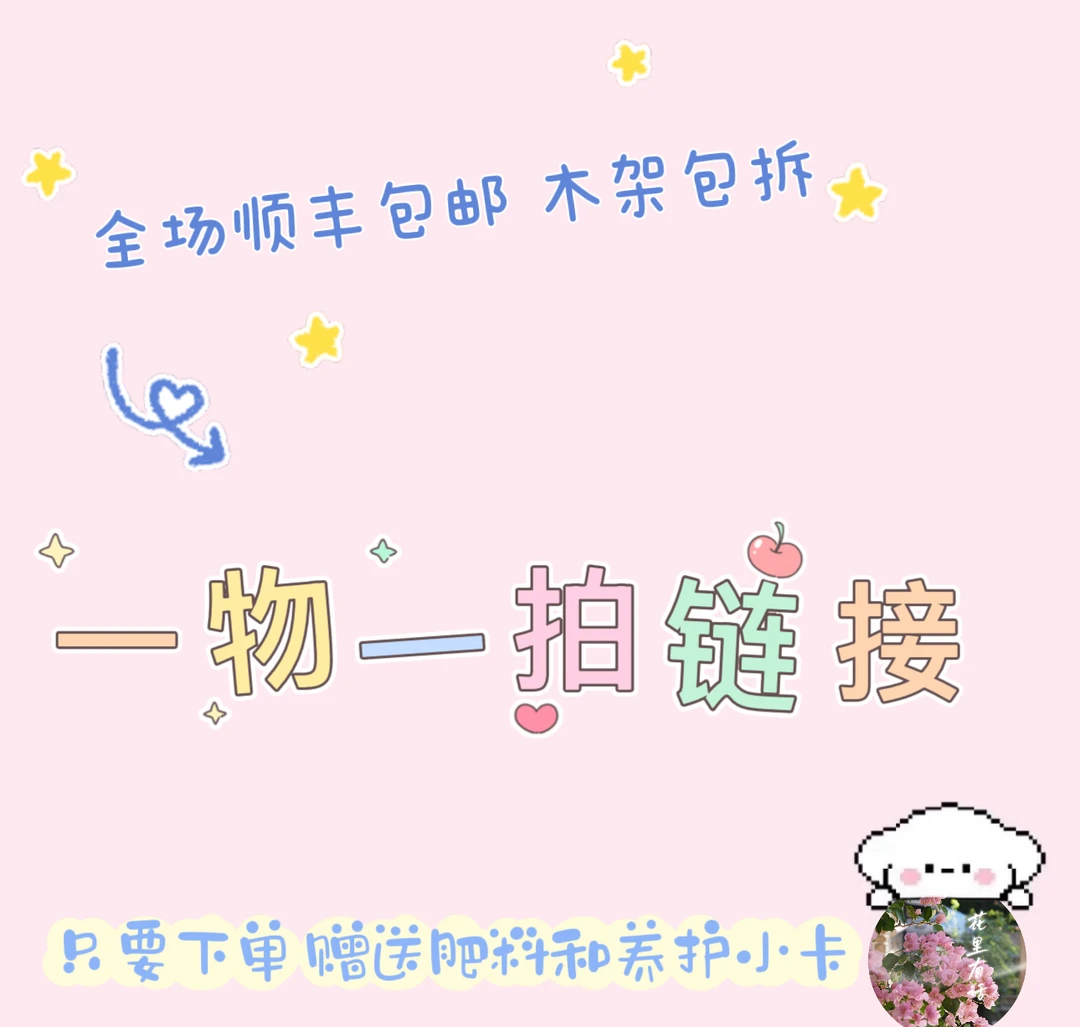 三角梅直播改价专用链接