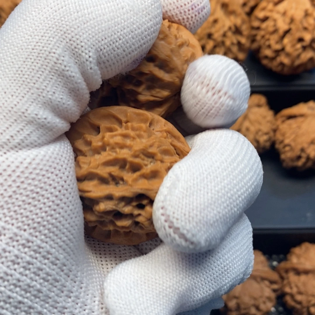 老***K秦岭森林中发现过几