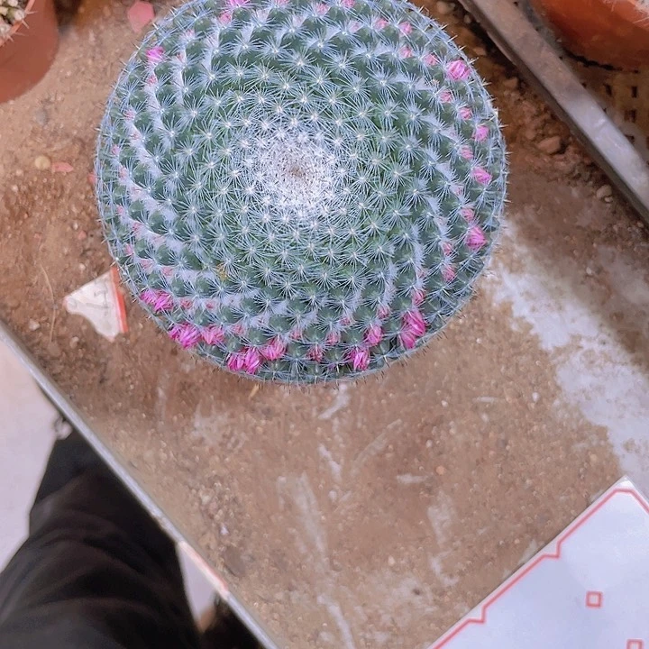 ！顺风顺水！好运连连