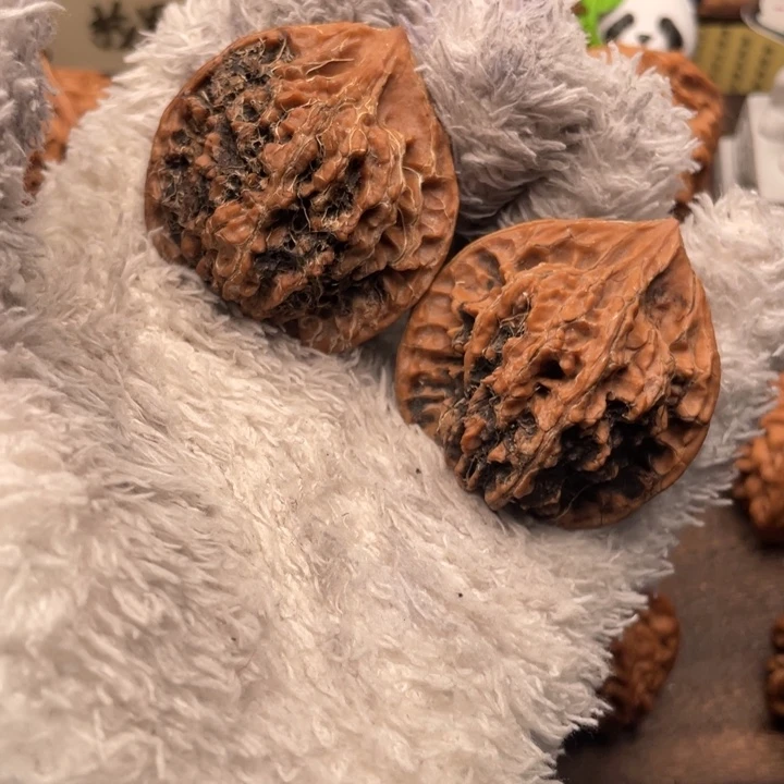 不***彭核桃42尺秦岭野生秦公子