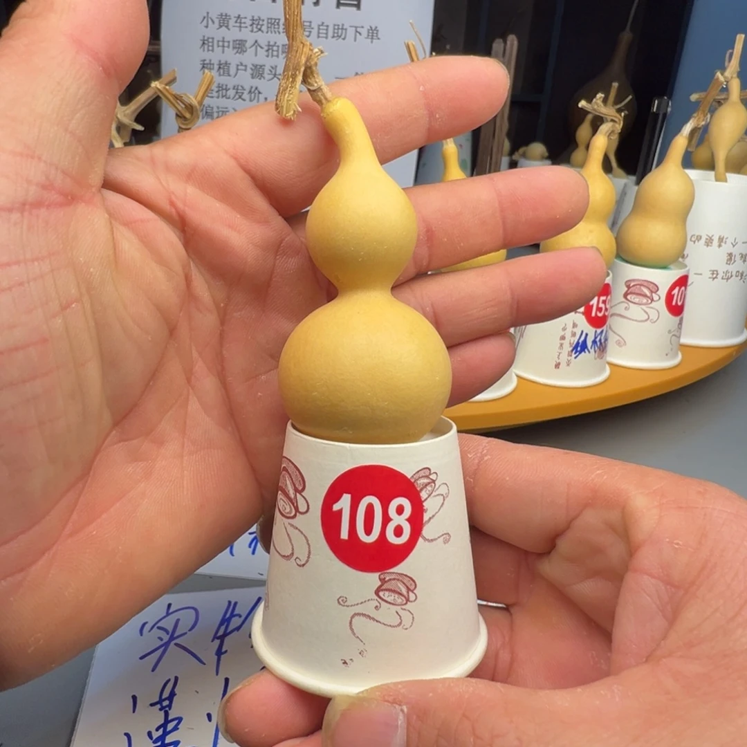 闪电购自助下单编号108