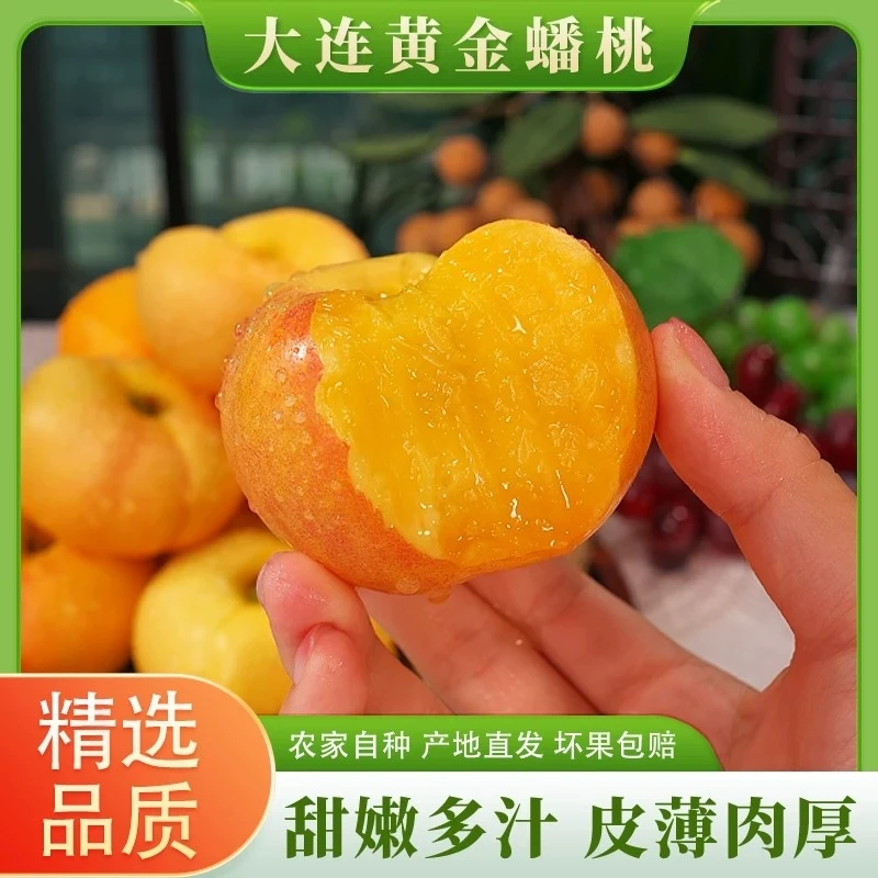 【顺丰包邮】大连黄金蟠桃新鲜应季水果黄金小油蟠桃皮薄甜嫩多汁
