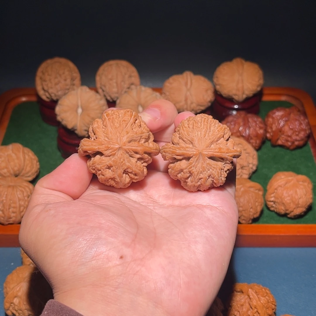 43+全品粗筋核桃核桃