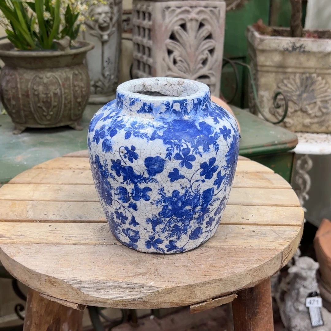 许纯的花房 孤品080