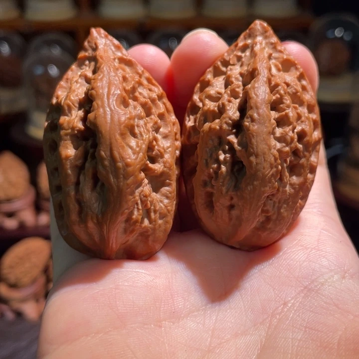 文玩核桃把件暴龙