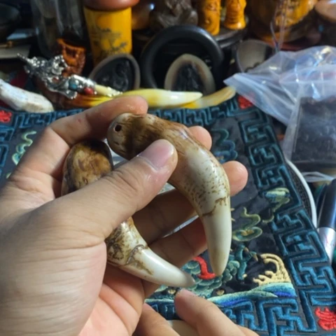 瓷片顶*来寻呼台的人也太少见啦