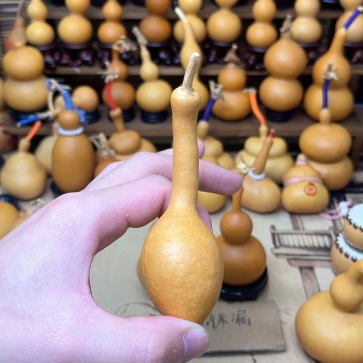 厚皮响籽独霸蚂蚁肚7