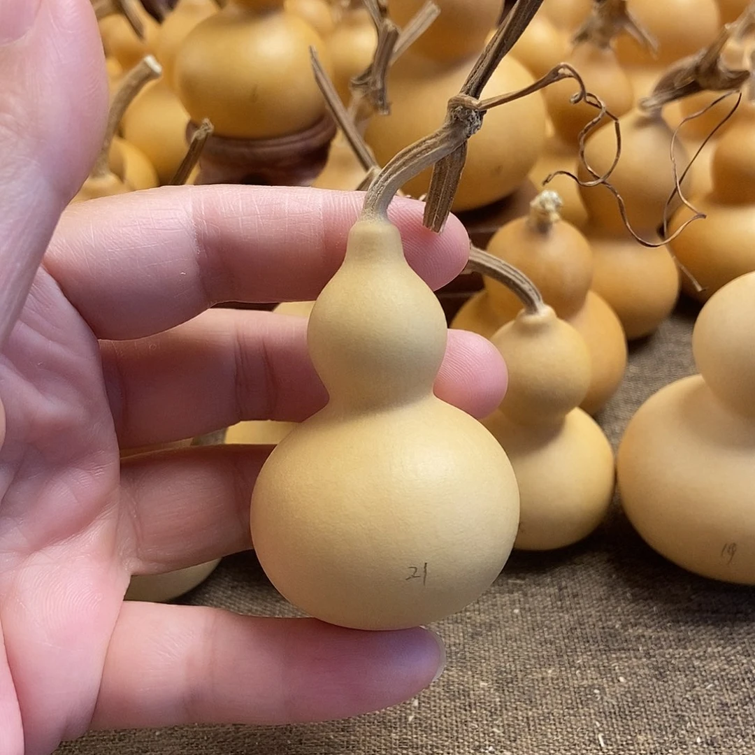 文玩葫芦 完美主义者 慎拍21