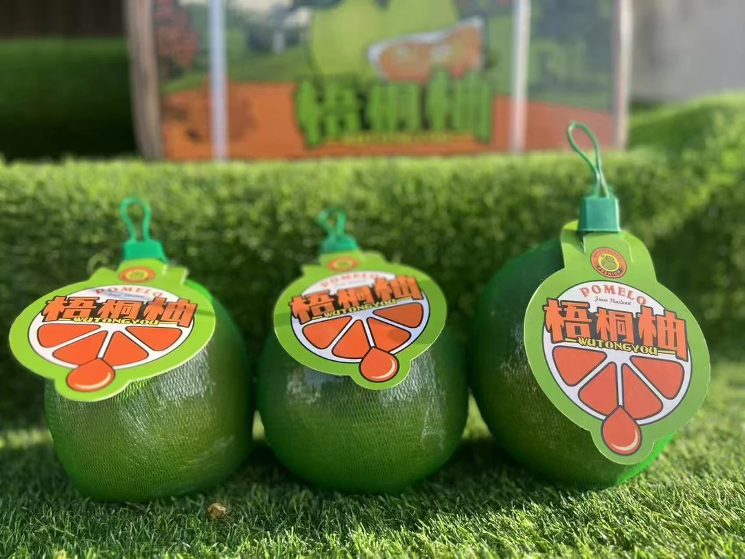 梧桐柚 柚子 18元/斤 1个约2斤