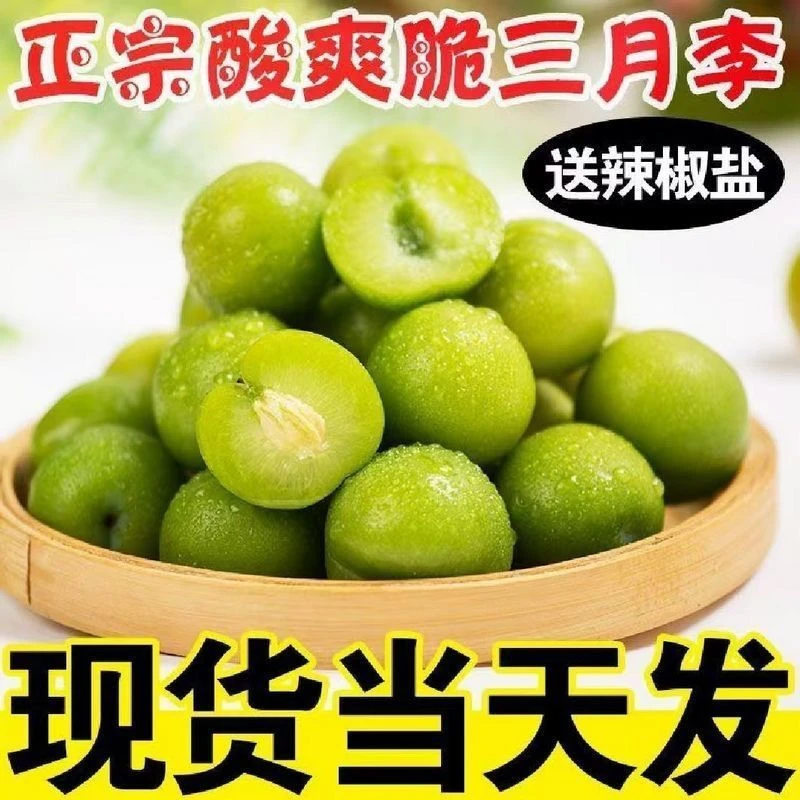 新鲜三月李酸脆李子孕妇水果果青现摘现发云南青李子