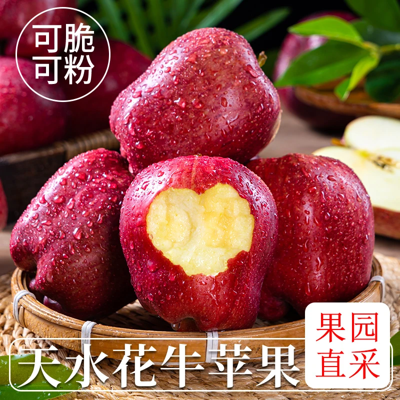 头茬鲜果甘肃天水花牛苹果脆粉两吃新鲜当季水果红蛇果包邮维C