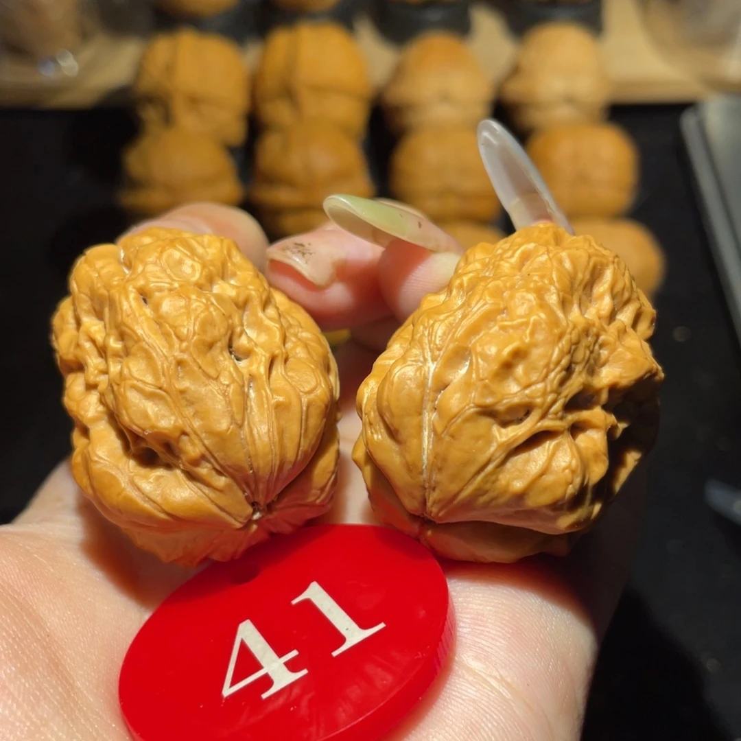 灭霸38尺寸核桃。