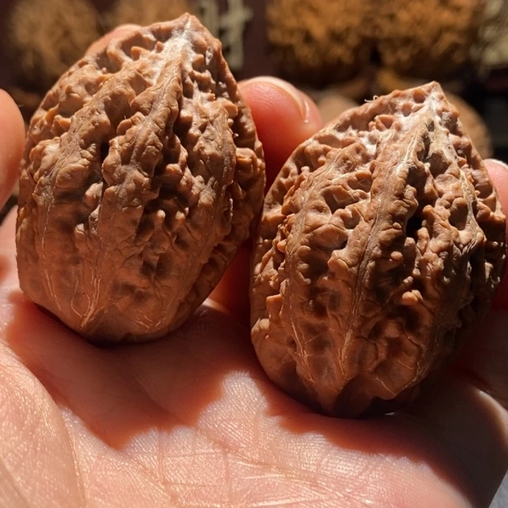 核桃粗筋疙瘩纹楸玥核1