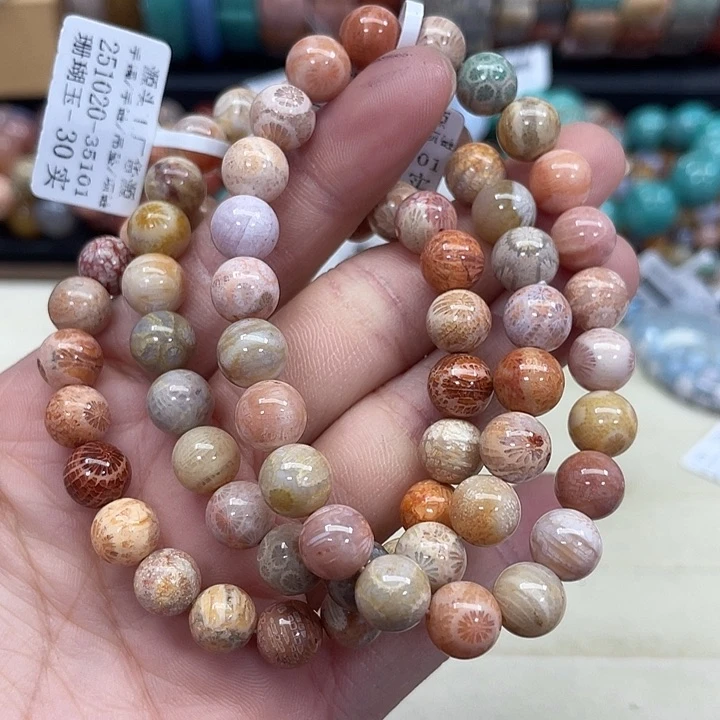 未镶嵌手串硅化珊瑚（珊瑚玉）625