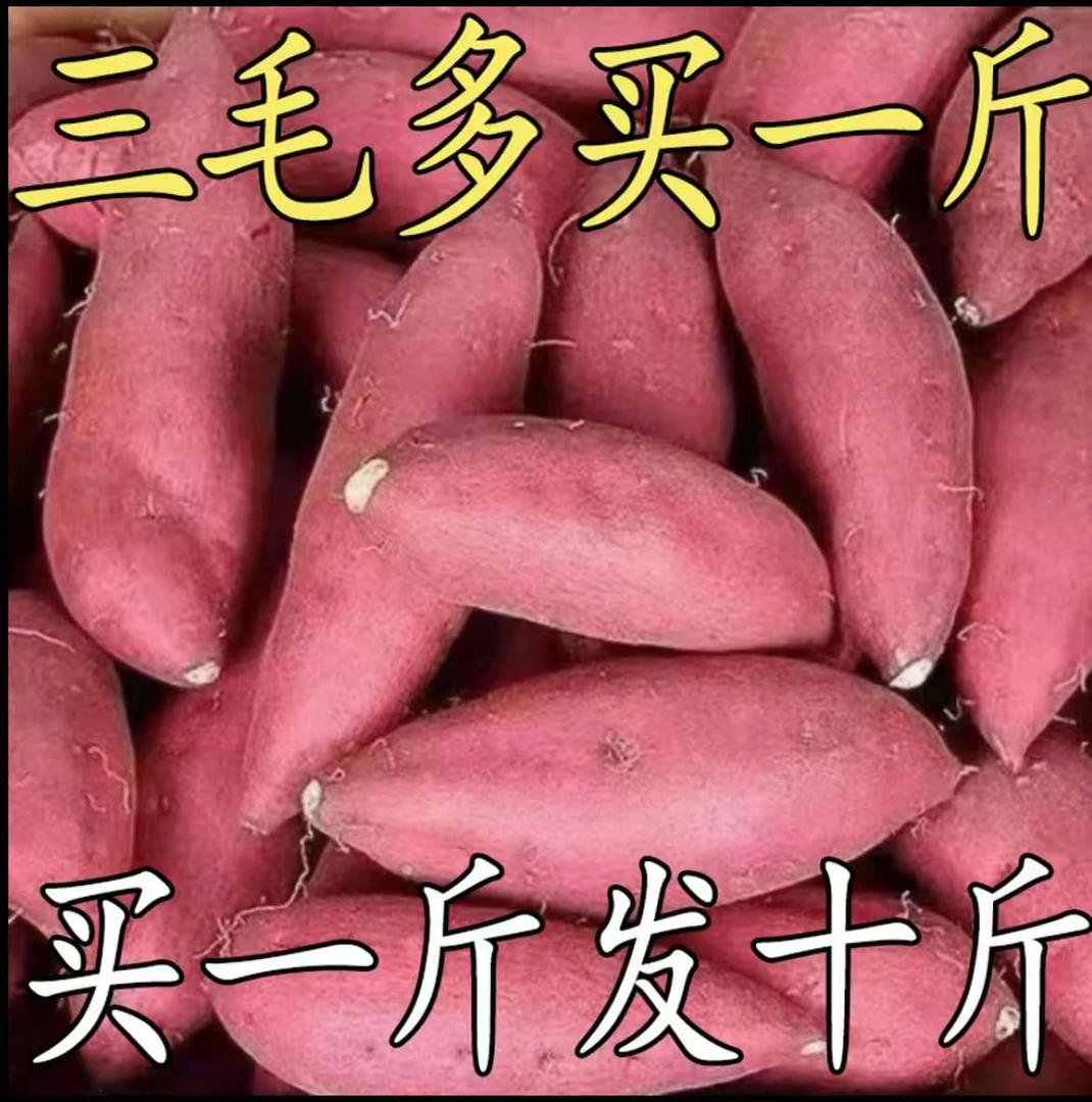 正宗沙地糖心蜜薯黄心红薯地瓜新鲜现挖软糯香甜番薯糖心蜜薯