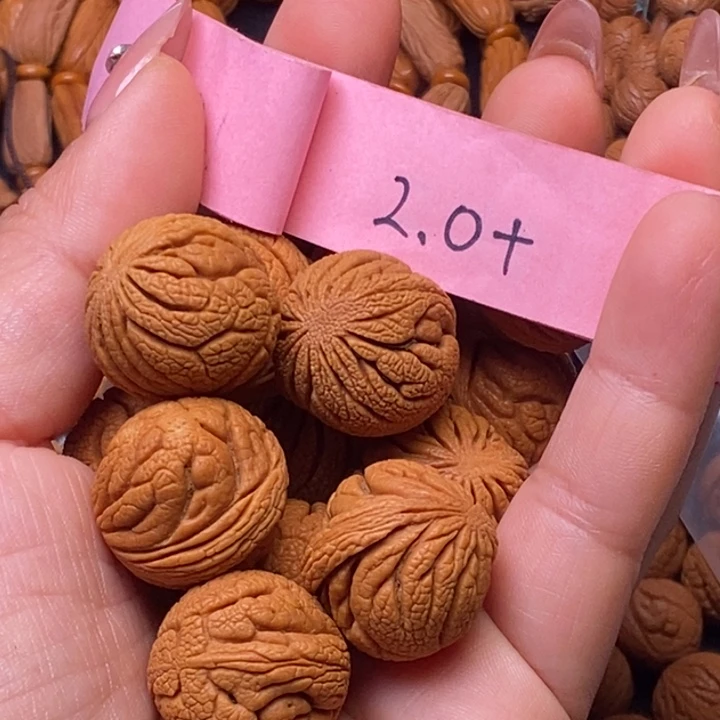 秦岭龙纹桃核13颗