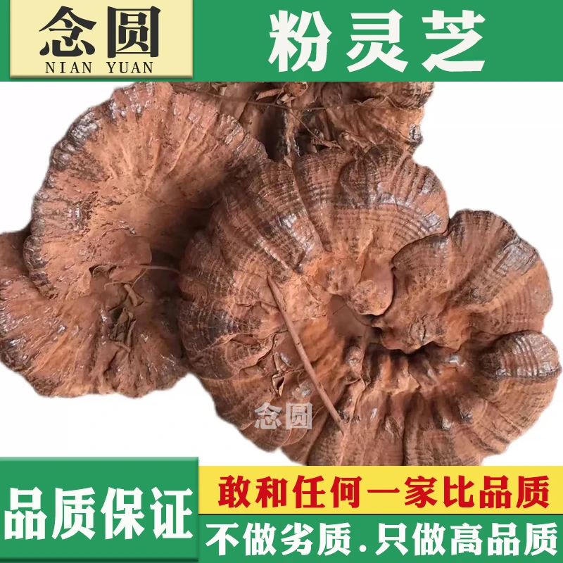念圆 粉灵芝干货 山货粉灵芝中药材粉黑灵芝带孢子粉灵芝煲汤煮茶