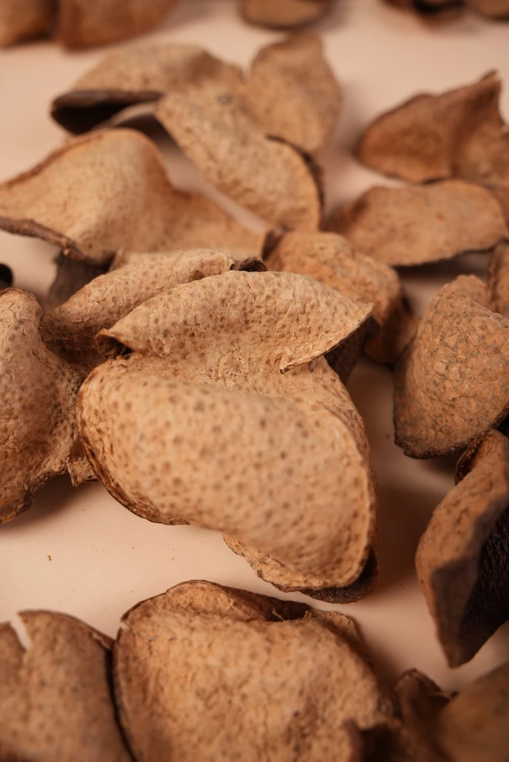 2010年梅江10年老树龄原枝大青皮新会陈皮 特级老品种 樟木香