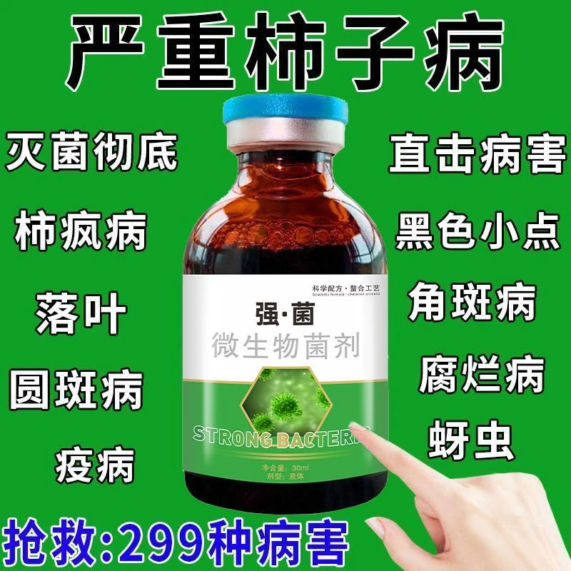 柿子病全治柿子树万能型白粉病炭疽病专用药叶枯病圆斑病克星杀菌
