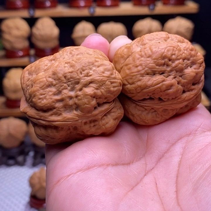 木质类云铁平头蟾30号