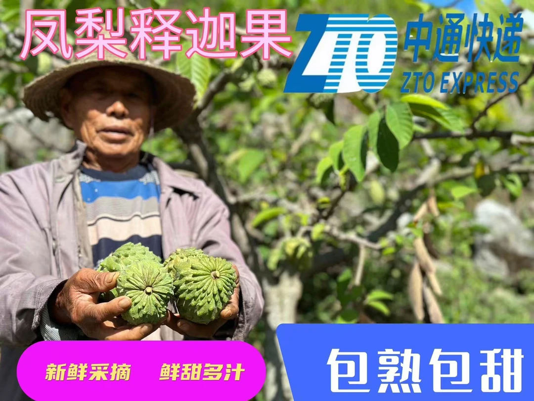 【花皮】牛奶凤梨释迦果 云南高山 软糯超甜新鲜热带水果