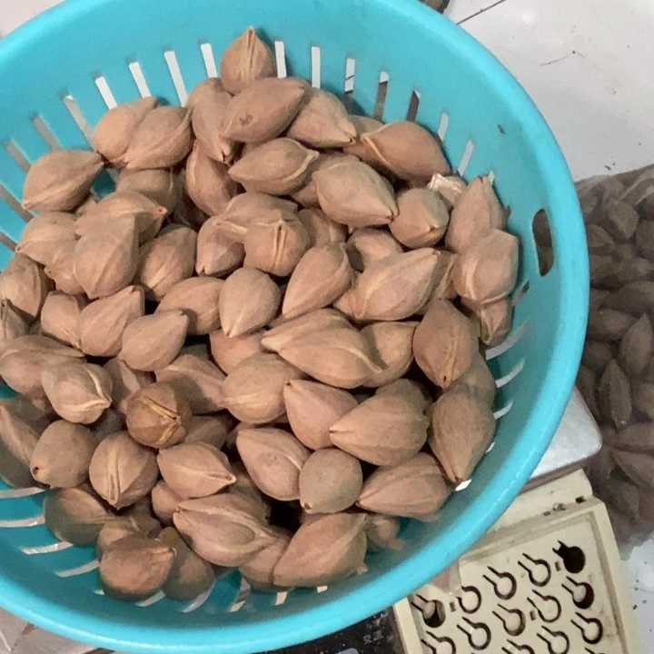 吊坠橄榄核谁***荡一斤