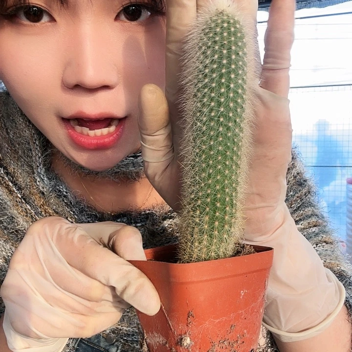 银衣柱111111111111111