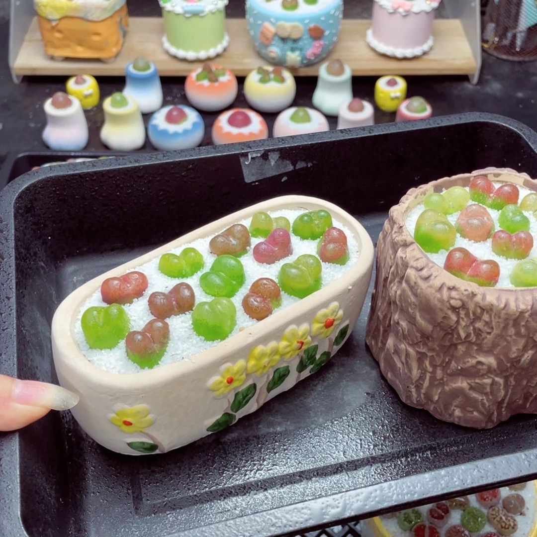 小*毛w1583长盆微瑕 带盆土发货一物一拍
