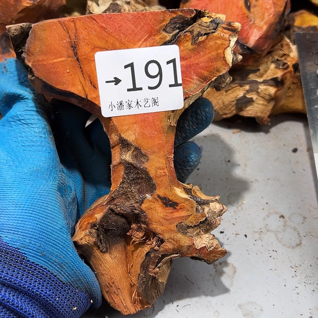 香榧木满*……火琉璃……火琉璃