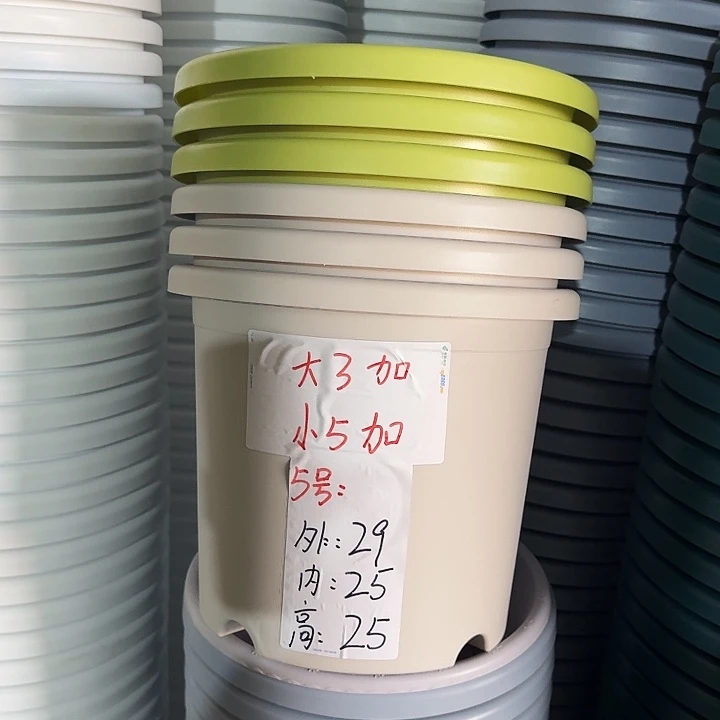 四季5#口径29灰白5个无托