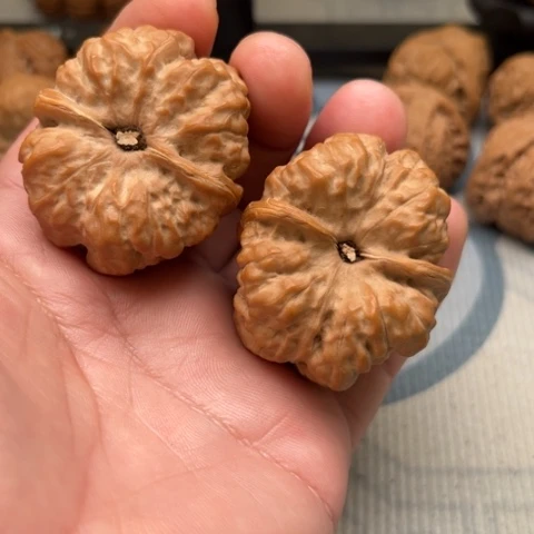 万***青文玩核桃吊坠蛤蟆