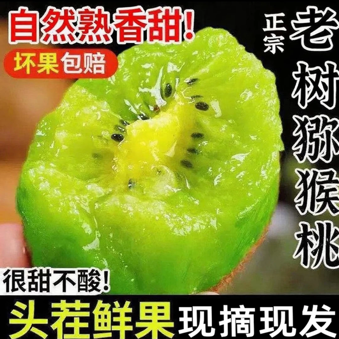 （淼淼助农）绿心猕猴桃新鲜采摘软糯多汁香甜可口当季水果