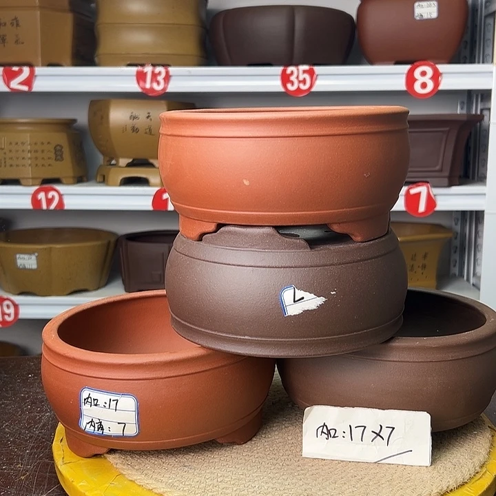 花盆紫砂你在一起